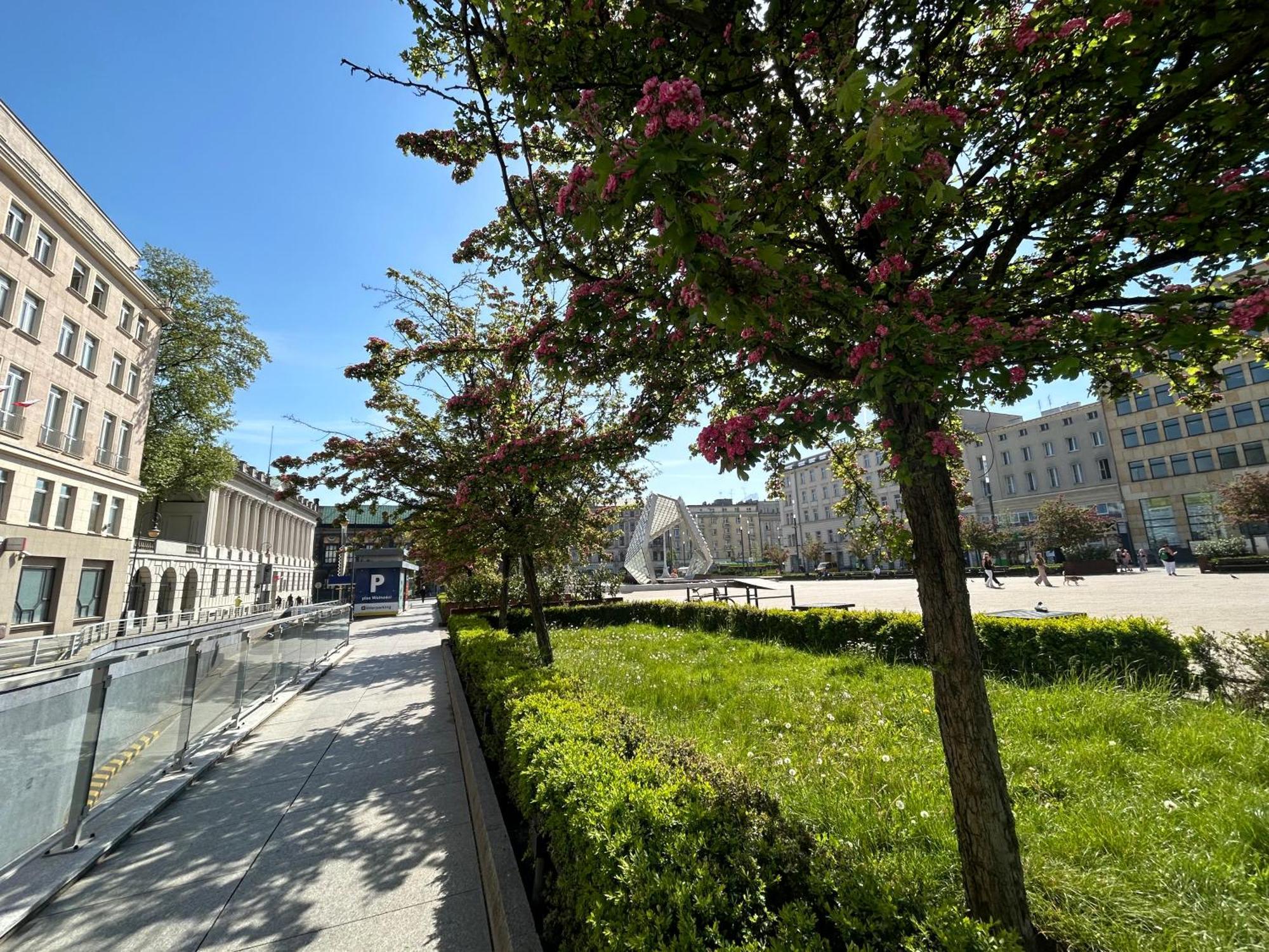 Apartamenty Pl. Wolnosci 6 Posen Exterior foto